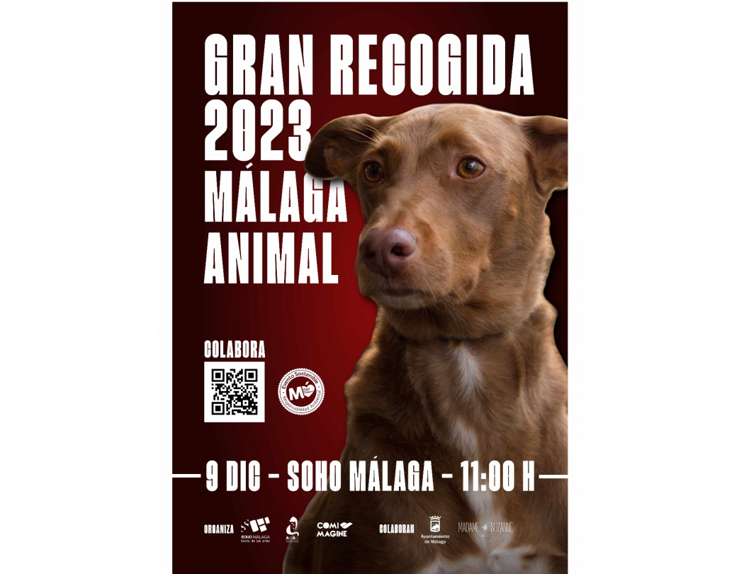 Gran Recogida alimentos Málaga Animal 2023