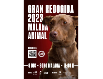 Gran Recogida alimentos Málaga Animal 2023